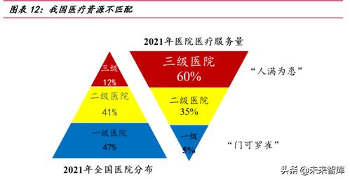 医疗信息化专题报告 需求端、供给端与国际比较分析——聚焦保健信息处理与技术发展
